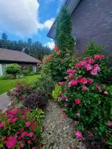 Brest Dream Gaden - 19