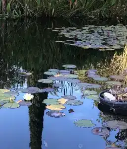 Квартиры на Цветочной 34 - 388