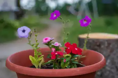 Коди Ярви - 123