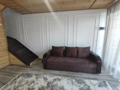 Этно Вилла - 105