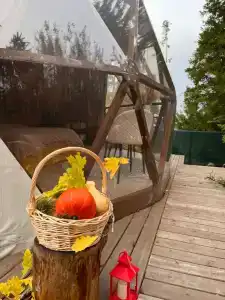 На Венере у Игоря - 3
