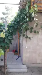 Лето - 4
