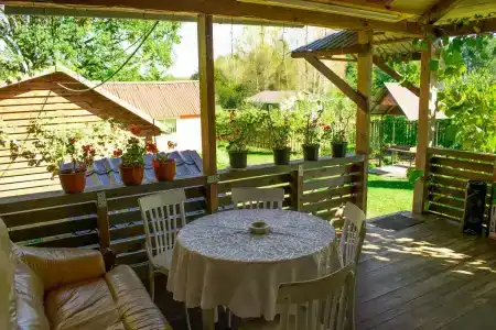 Боровики - 38