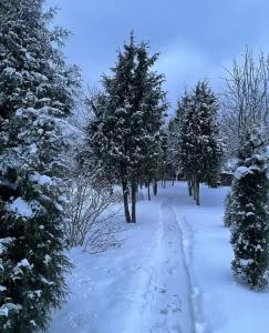 Уютный деревенский домик с русской баней возле озера в Большой Ухолоде - 41