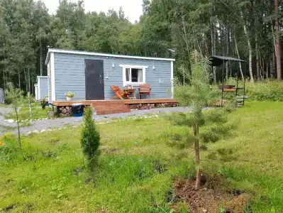 Мелодия леса - 0