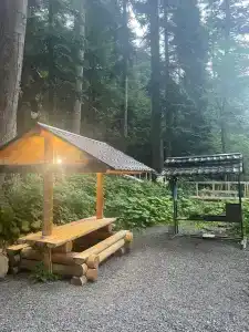 Домик в лесу - 9