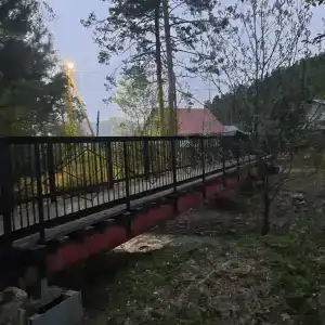 Гостевой дом в сосновом лесу - 36