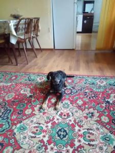 Понт Эвксинский - 4