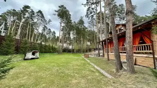 Среди Хвойных Сосен - 39