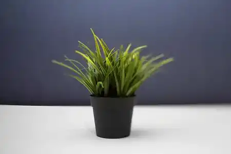 Квартиры на Поповича 8 - 27