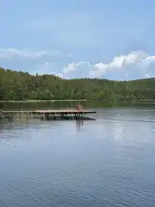 Сосновое шале на берегу Сямозера - 40