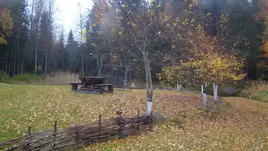 Дом на берегу речки Тихой - 42