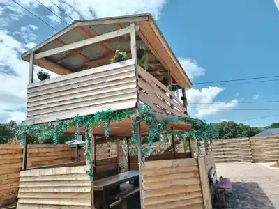Комарово - 21