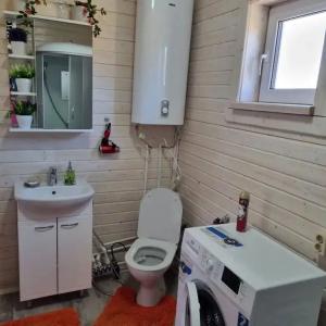 Прозрачный берег - 100