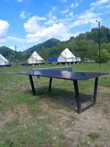 Сад чудес - 24