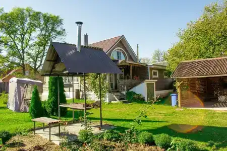 Боровики - 37