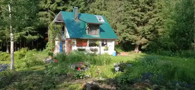 Домик у леса - 0