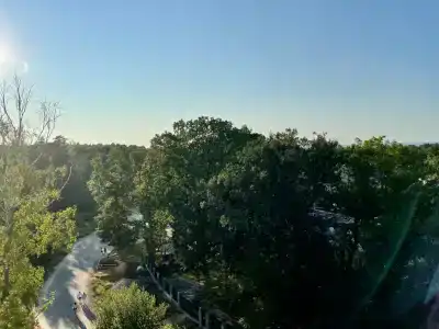Квартиры на Сосновой 8 - 246
