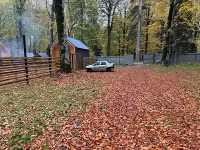 Маленькая страна - 223