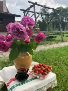 Царское село - 5