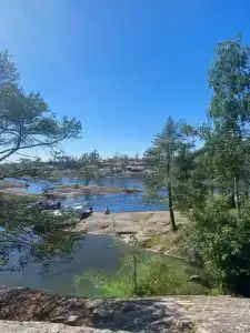 A-frame Сосновый бор - 118