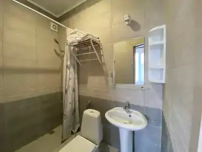 Афина - 100