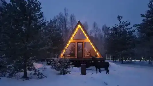 Глэмпинг Ёлкино За Палкино - 56
