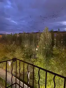 Квартиры на Аллее Героев 4 - 89