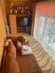 Гостевой домик с русской баней - 5