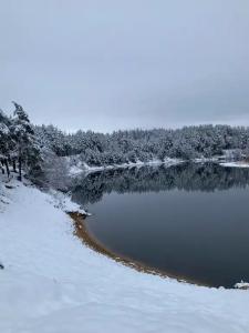 Уютный лесной домик со всеми удобствами в Полянках - 20