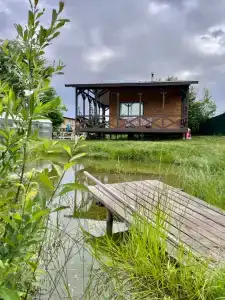 Виноградная лоза в Акатово - 23
