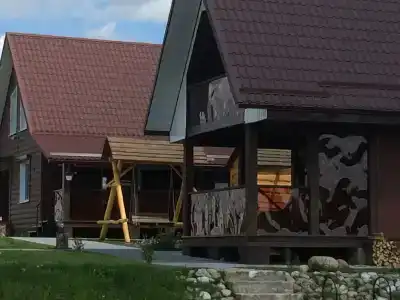 Васильки - 13