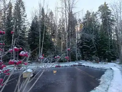 Осельки - 51