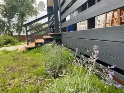 Dream House Soroсhanу - 30