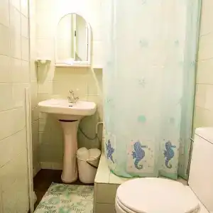 Залив - 1