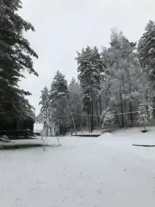 Усадьба в Антропково - 7