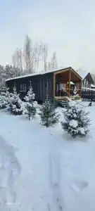 Мамонт на озере - 11