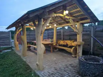 Васильки - 22