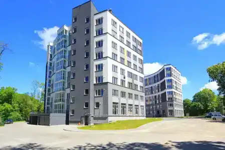 Павлин - 3