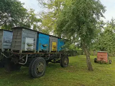В хуторской тиши - 24
