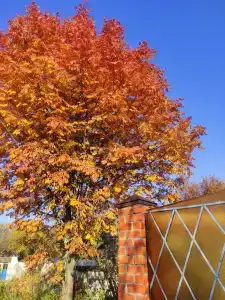 Лисапедово - 122