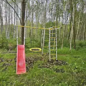 В гостях у леса - 58