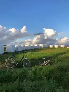 Пятый сезон - 48