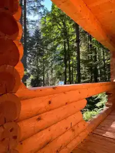 Домик в лесу - 8