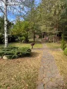 Дом с баней в СТ Узборье-строй - 1