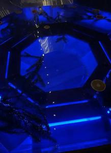 Уютный деревенский домик с русской баней возле озера в Большой Ухолоде - 43