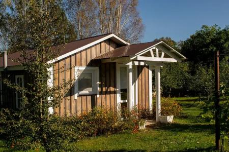 Боровики - 8