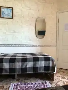 Кипарис - 41