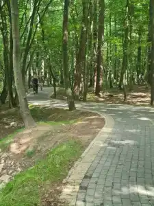 Коттедж на Солнечном переулке - 15