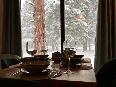 Гнездо с камином - 48